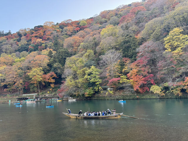 ชมใบไม้เปลี่ยนสี ริมแม่น้ำที่ Arashiyama