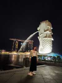 22 Hours in Singapore: Walking Non Stop🇸🇬