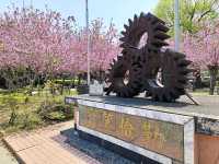 漫步糖廠，沉浸在賞花與春日暖陽中，格外愜意。