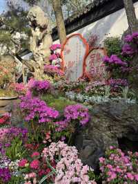 Morning Magic at Humble Administrator’s Garden: A Timeless Journey Through China’s Finest Classical 