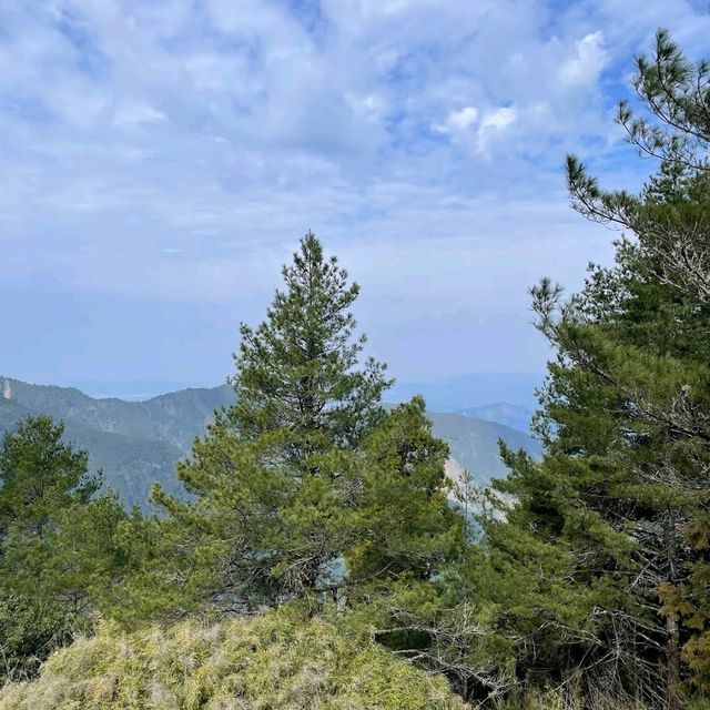 大雪山國家森林遊樂區