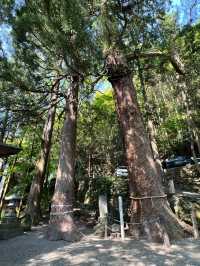 Solo Spring Getaway in Yufuin