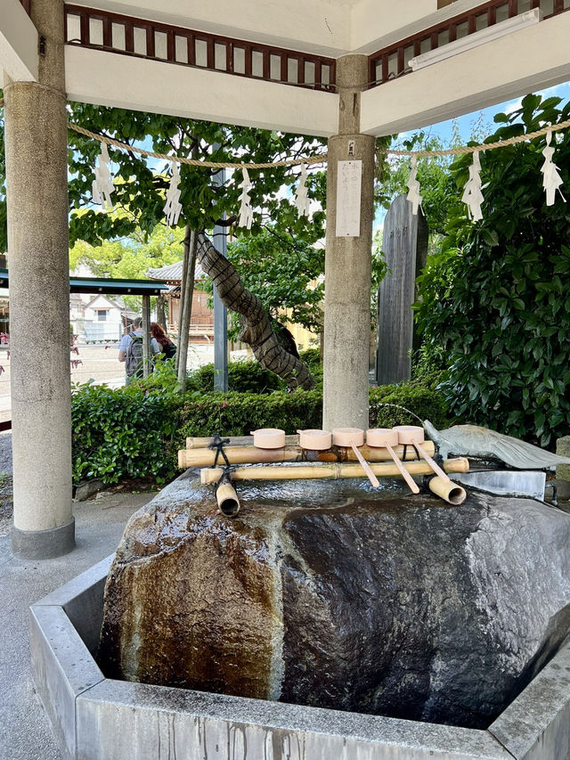 Springtime at Kameido Tenjin Shrine🌸