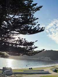 【Great Ocean Road in Melbourne Day 2】