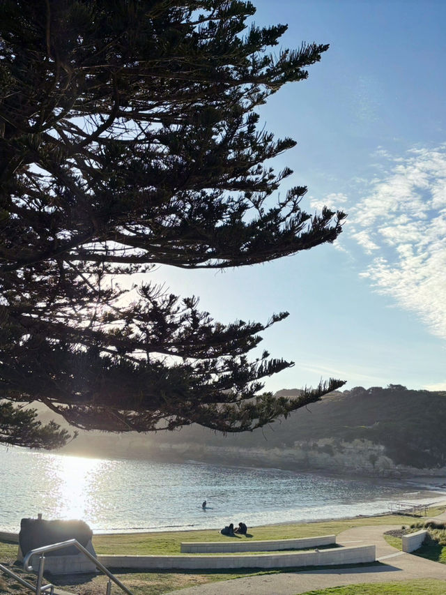 【Great Ocean Road in Melbourne Day 2】