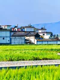 🌸 春限定・3〜4月の大理旅行ガイド 🌿