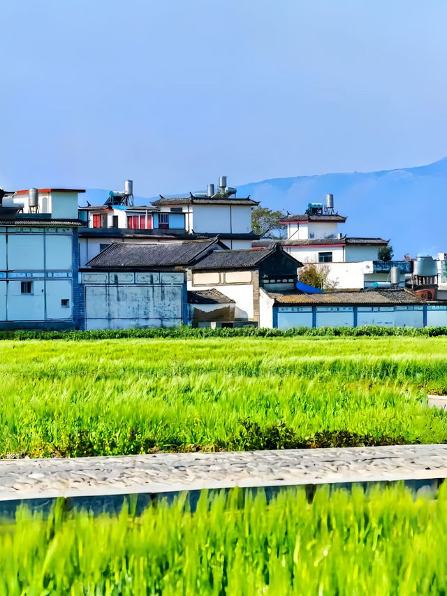 🌸 春限定・3〜4月の大理旅行ガイド 🌿