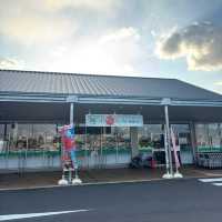 🇯🇵【香川県】休憩！買い物！グルメ！おすすめの道の駅！