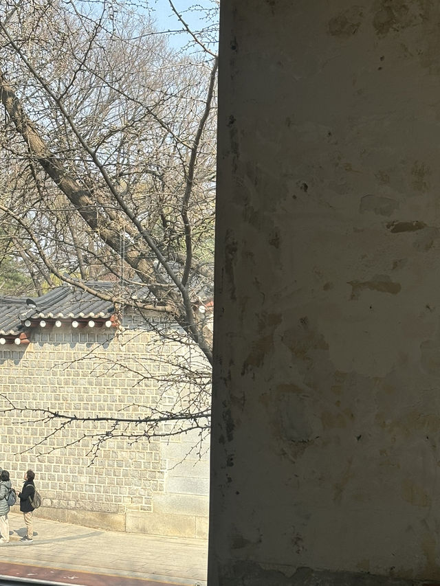 경복궁 카페는 여기지