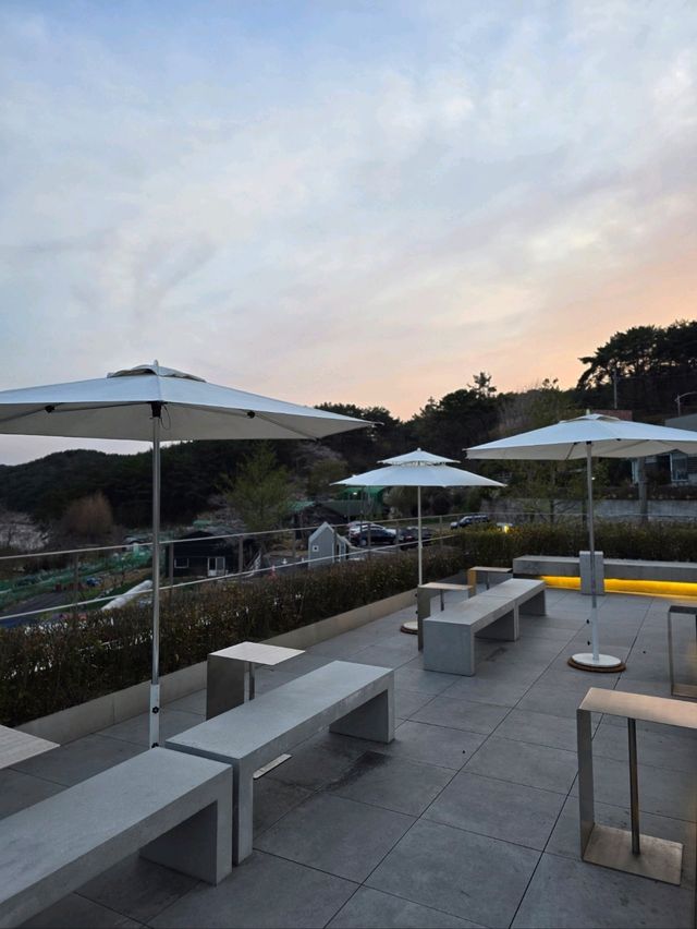 멋진 디자인과 벚꽃뷰가 힐링인 부산카페