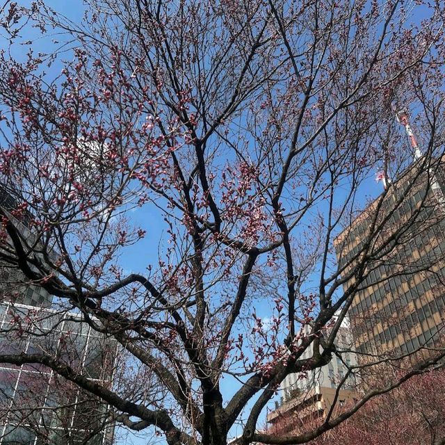 錦町公園