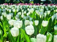  อาคารนิทรรศน์พรรณพฤกษา สวนไม้เมืองหนาวในไทย