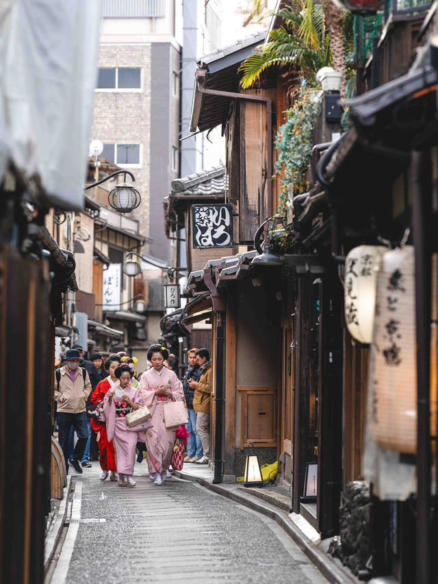 朝一の先斗町スナップ 🌅🏮 静寂の中に漂う京都の風情
