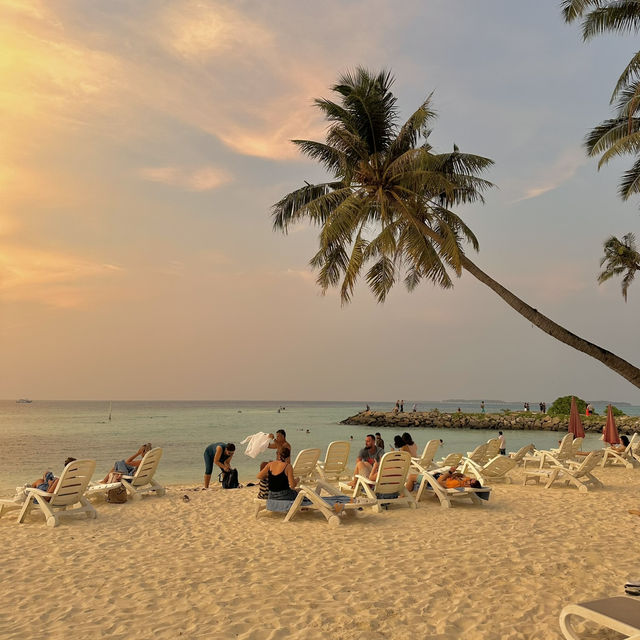 Maafushi Island ' 🌺🌴 ไปนอนเกาะโลคอลในประเทศมัลดี