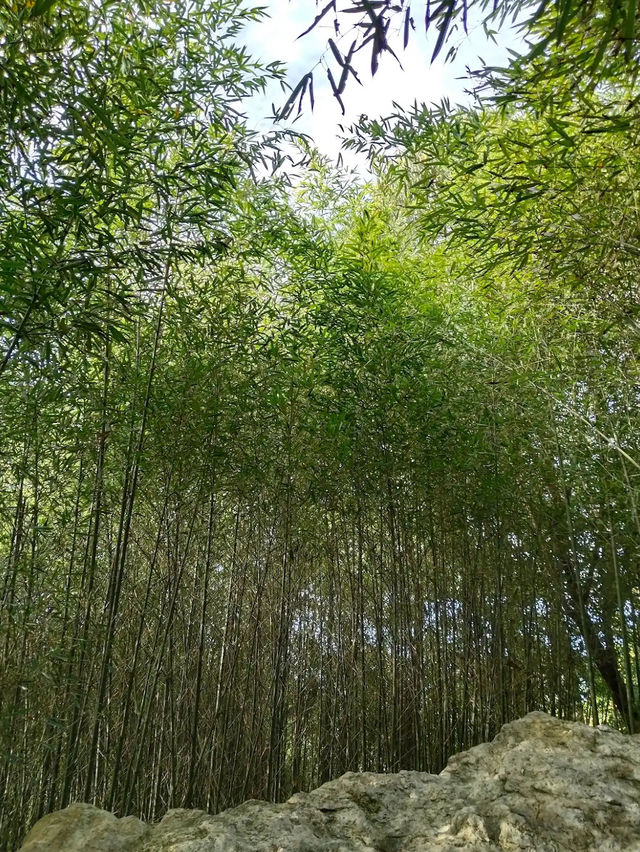  Mirador Heritage and Eco Park