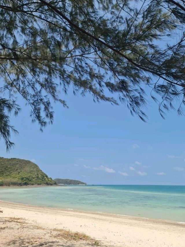 เกาะแสมสาร