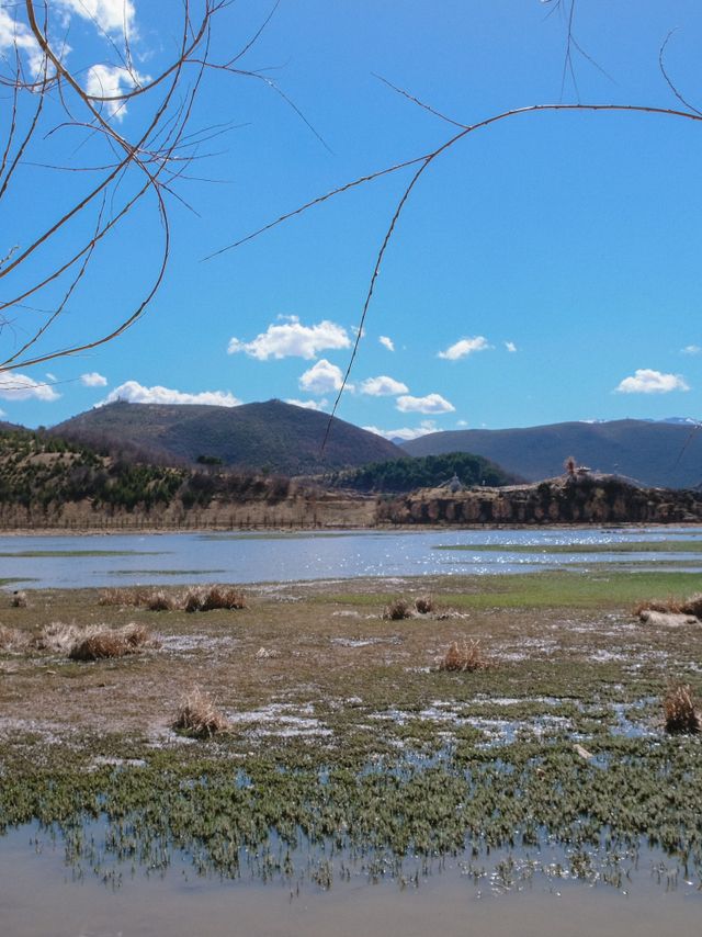 วัดซงจ้านหลิน วัดเก่าแก่อายุกว่า 300 ปี 