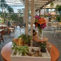 💐✨️The Flask Cafe by Air Orchids🍂🌸