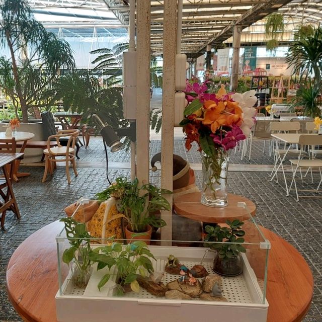 💐✨️The Flask Cafe by Air Orchids🍂🌸