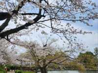 日本九州長崎大村公園