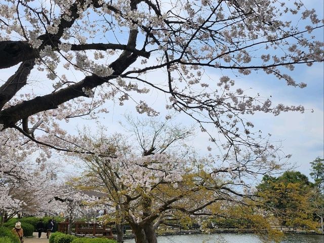 日本九州長崎大村公園