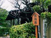 日本庭園に佇む本格茶室で非日常を体験🍂✨