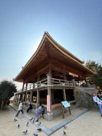 防府｜藩主沒錢繼續蓋五重塔 把塔簷變地基的春風樓 