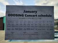 제주 감성카페 Oddsing