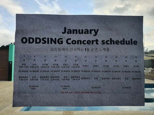 제주 감성카페 Oddsing