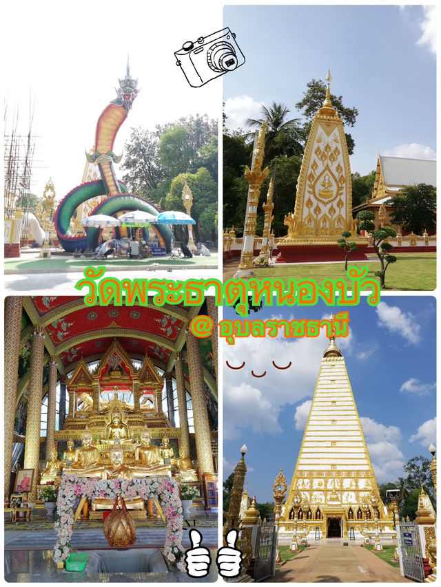 วัดพระธาตุหนองบัว