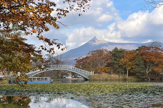 大沼公園】函館から30分の大自然🍃 | Trip.com 七飯町