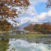 【大沼公園】函館から30分の大自然🍃