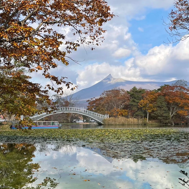 【大沼公園】函館から30分の大自然🍃