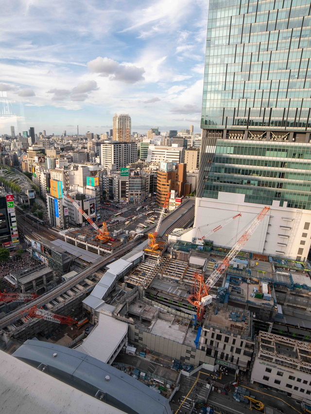 渋谷を一望！渋谷フクラス展望台からの絶景🌇📸