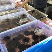 大溪漁港半日遊｜逛市場、嚐鮮味、望龜山島