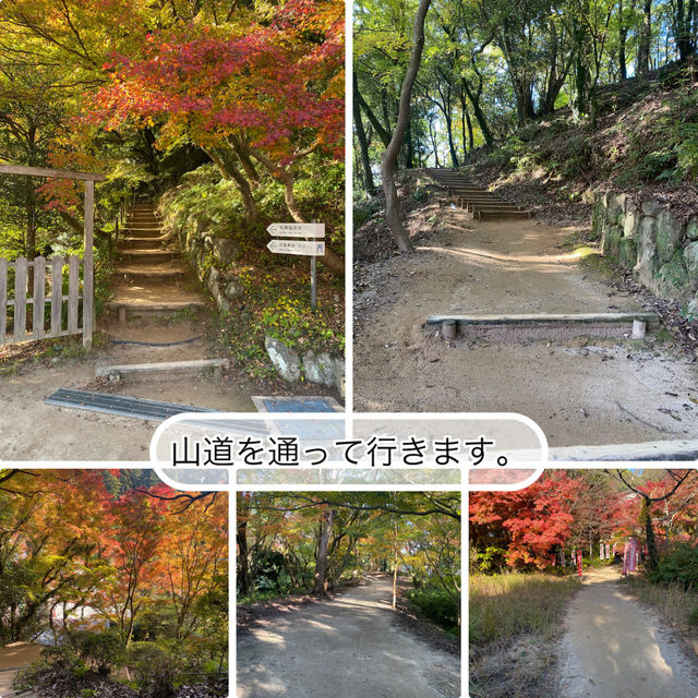 【福岡県太宰府市🇯🇵天開稲荷社】九州最古のお稲荷さんへ☺️