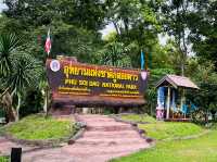 ภูสอยดาว สวรรค์ของนักเดินป่า! 🏕️🌸⛰️🏞️✨ 
