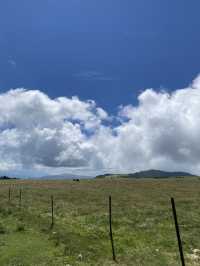 【美ヶ原高原】標高2000mの絶景⛰️