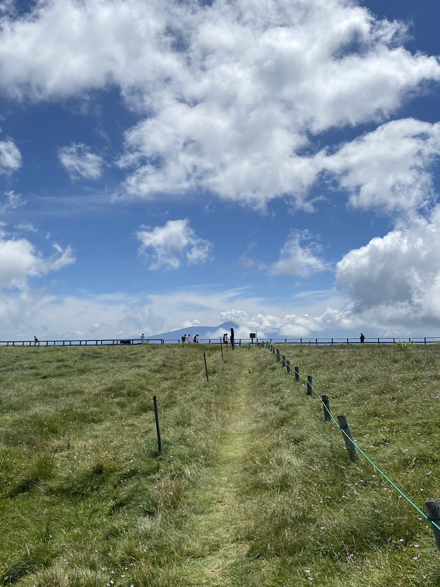 【美ヶ原高原】標高2000mの絶景⛰️