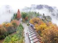 Autumn Magic in Zhangjiajie: A Peaceful Escape into Nature's Colors