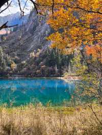 Magical Autumn: The Timeless Beauty of Jiuzhaigou
