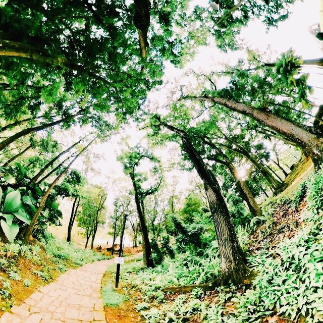 Little Guilin: Singapore’s Hidden Gem in Bukit Batok