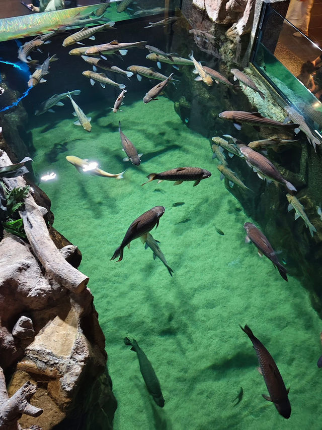 “Aquaria KLCC — Dive Into an Underwater World in the Heart of Kuala Lumpur”