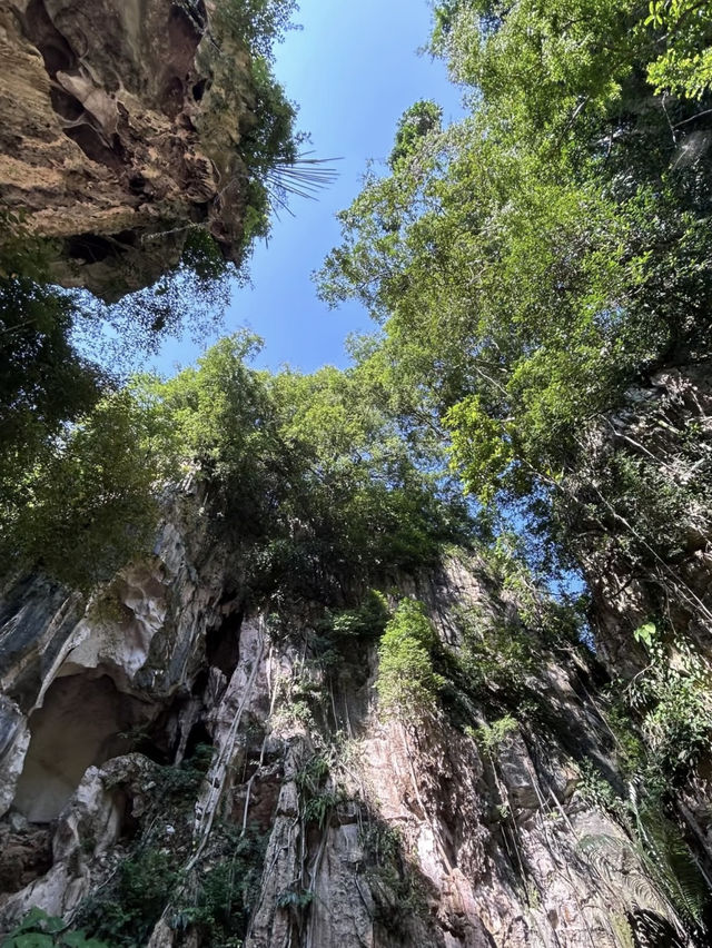 Kin Loong Valley, Ipoh: A Hidden Gem for Coffee Lovers