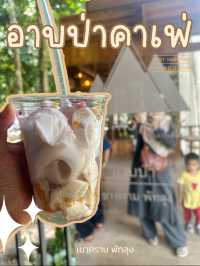 อาบป่าคาเฟ่