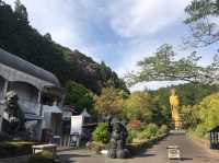 金色に輝く大観音に圧倒される！「寳珠山大観音寺」で非日常の絶景体験を