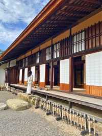 ひこにゃんで有名なお城🏯国宝 彦根城に行ってきた！