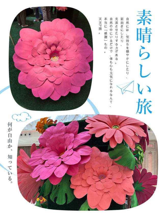 花海繽紛的春季節日