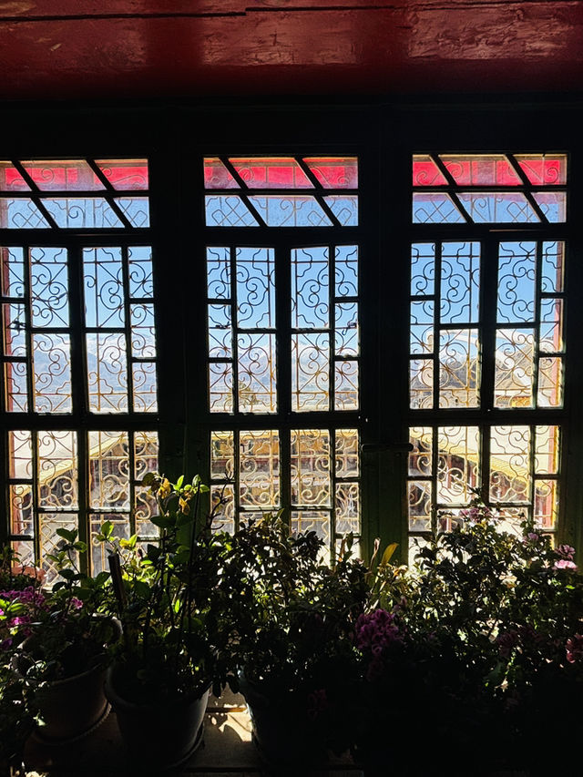 Am I Still on Earth? A Springtime Walk Through Drepung Monastery Feels Otherworldly!