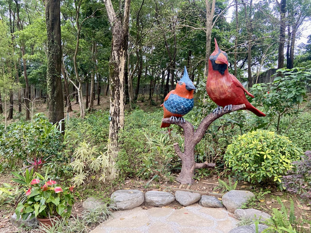 置身和式庭園🌷🦜體驗鳥語花香✨大埔海濱公園🏞️